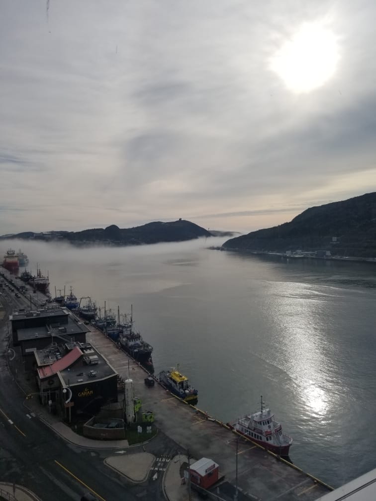 St. John's Harbour