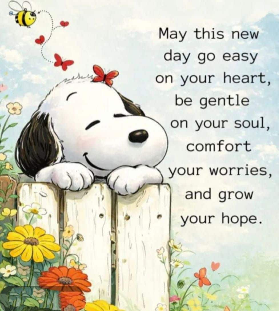 May This New Day