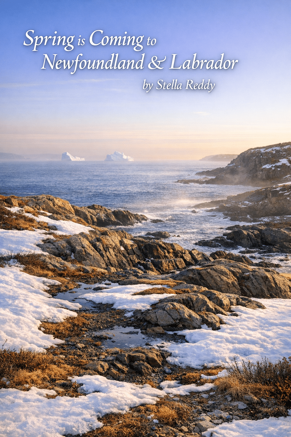 Spring is Coming to Newfoundland & Labrador by Stella Reddy
