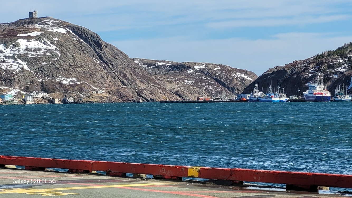 St. John's View of Narrows March 10 2026