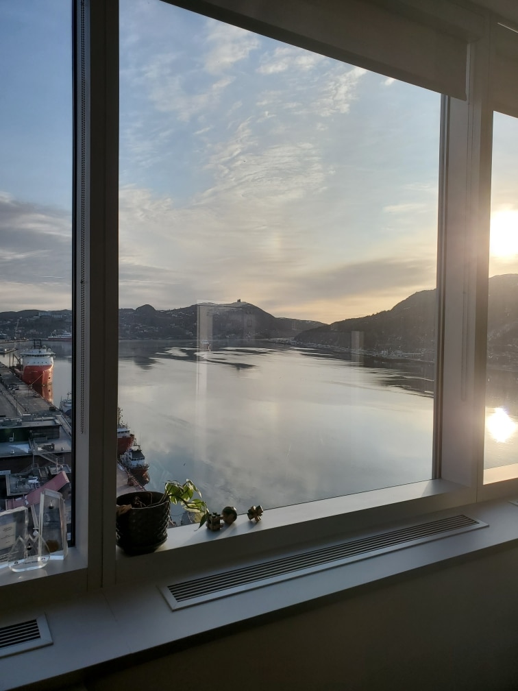 St. John's NL. Window with a view