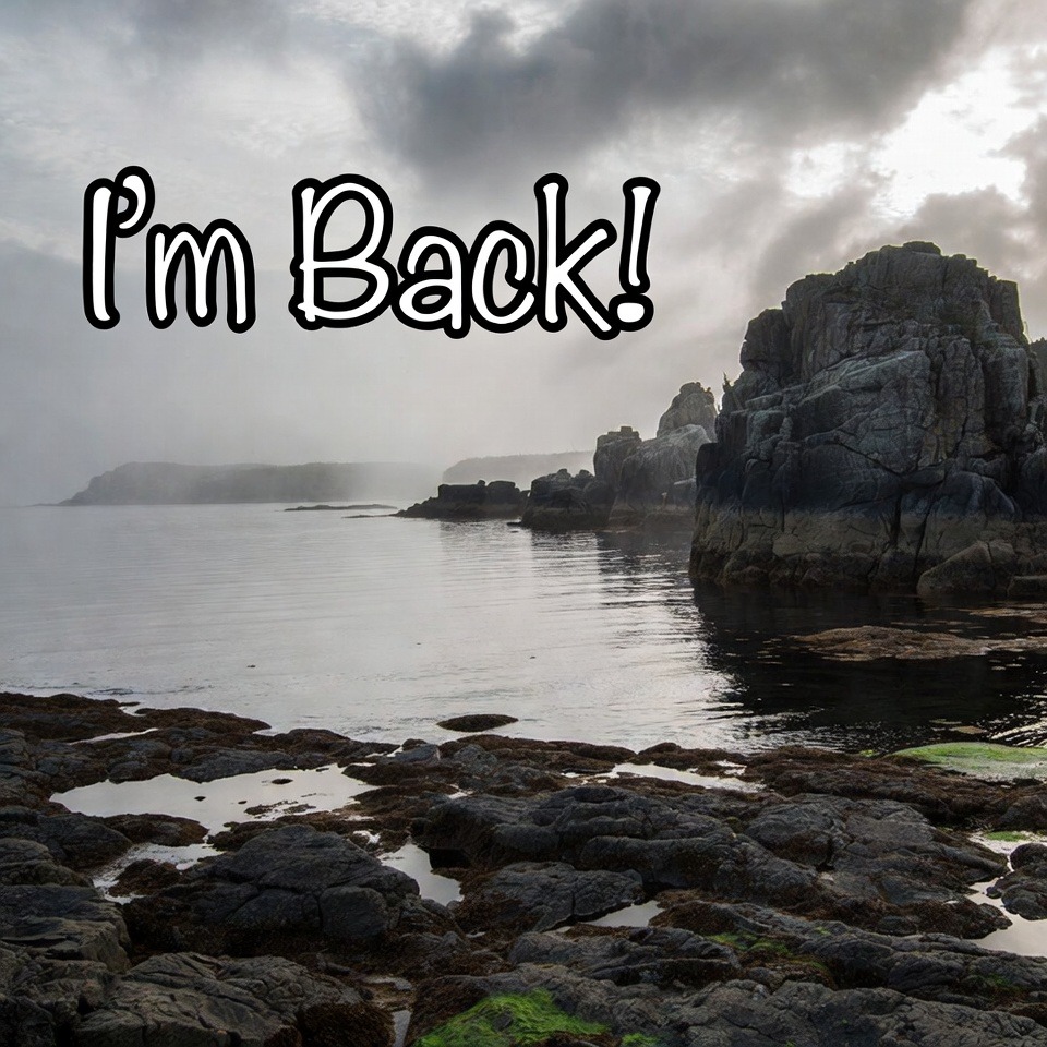 I'm Back