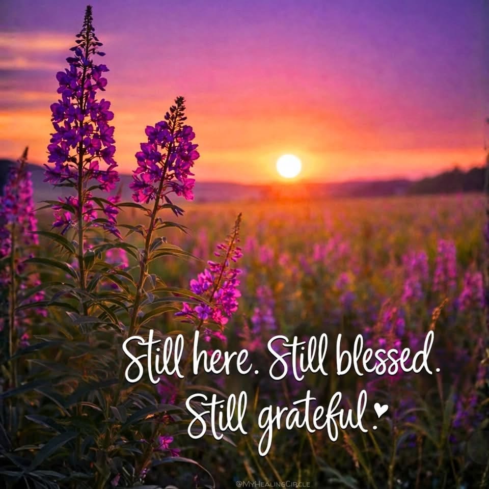 Still Here. Still Blessed. Still Thankful